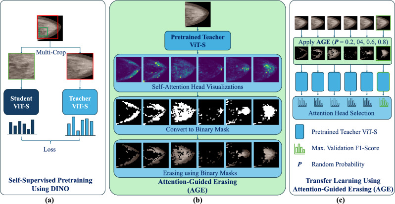 Overview diagram of the Attention-Guided Erasing methodology