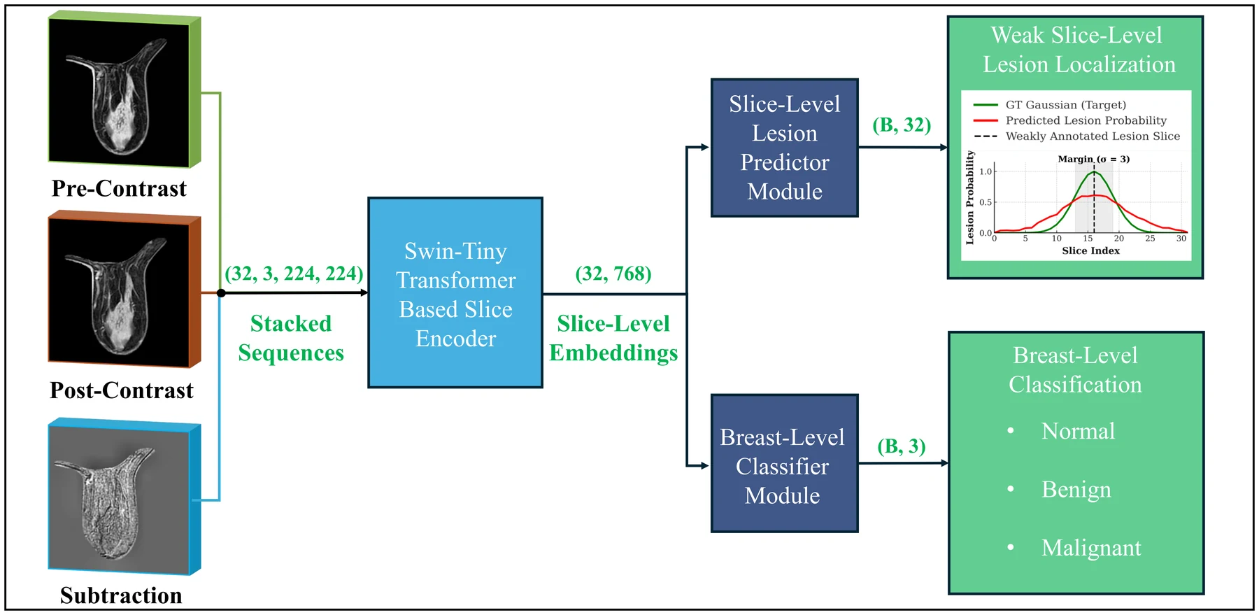 BE-WISE architecture: pre-contrast, post-contrast and subtraction MRI volumes stacked into a (32, 3, 224, 224) tensor, encoded by a shared Swin-Tiny slice encoder into (32, 768) embeddings, then split into a slice-level lesion predictor producing a per-slice probability curve and a breast-level classifier producing normal, benign or malignant