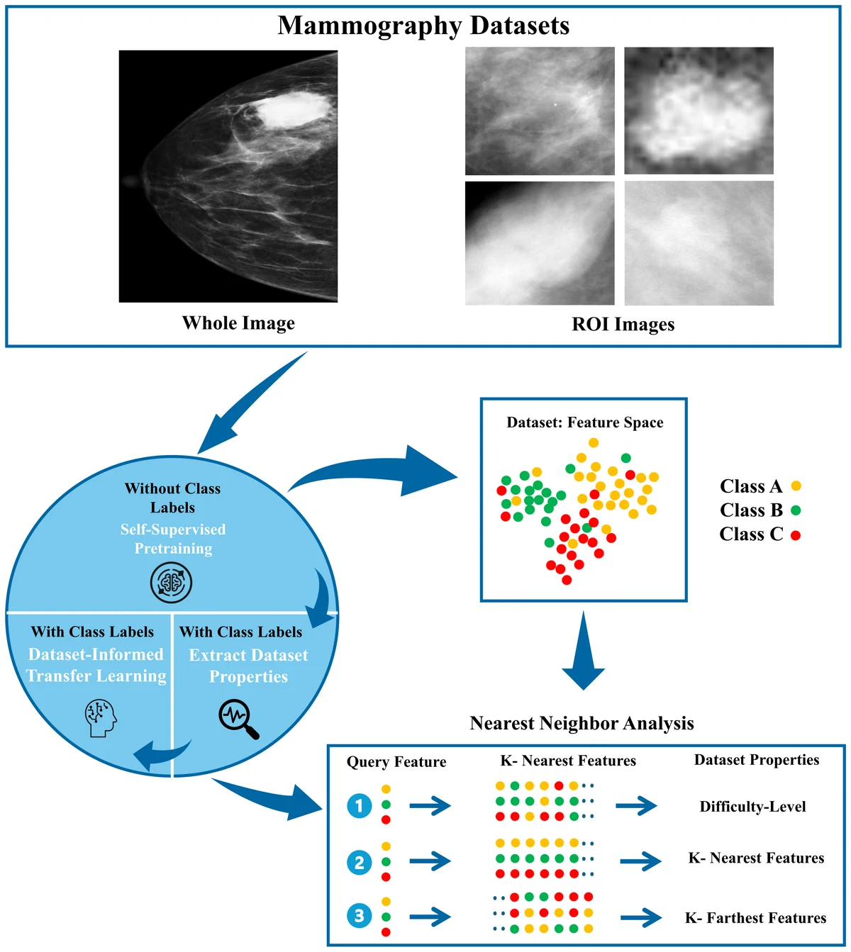 DITL framework diagram: whole-image and ROI mammography inputs feed a three-stage circle of self-supervised pretraining without labels, dataset property extraction with labels, and dataset-informed transfer learning; a feature-space scatter and a nearest-neighbour analysis panel show difficulty level, k-nearest and k-farthest features
