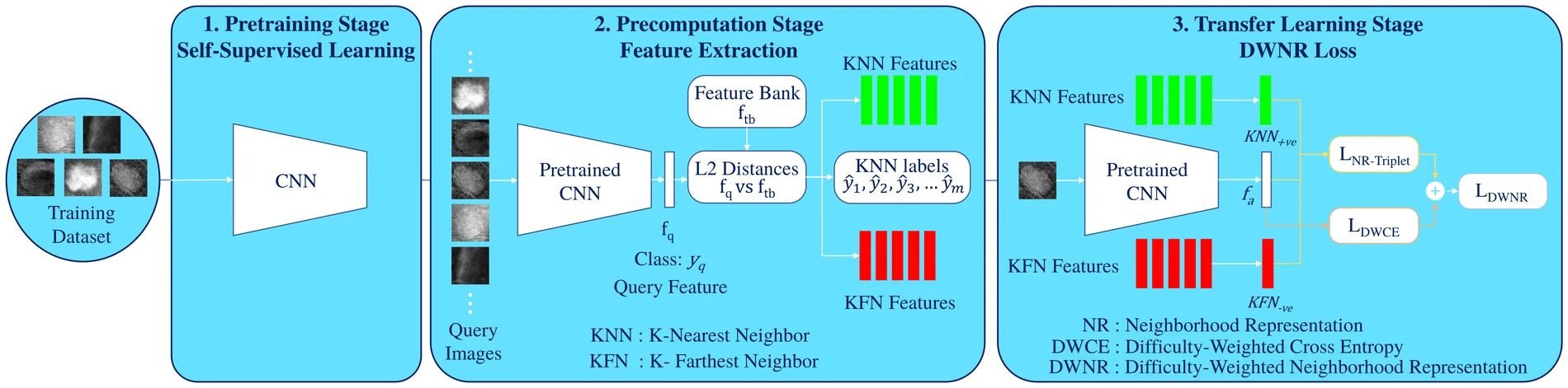 Three-stage horizontal diagram: pretraining stage with self-supervised learning on a CNN over CESM training patches; precomputation stage where query features are compared by L2 distance against a feature bank to yield k-nearest and k-farthest features and neighbour labels; transfer learning stage where those features feed a neighbourhood triplet loss and a difficulty-weighted cross-entropy that sum to the DWNR loss